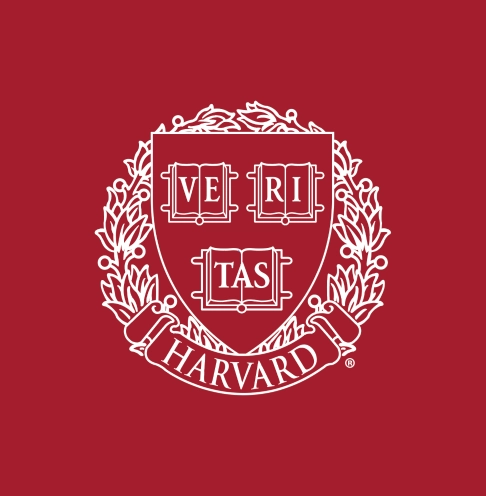 Aramid fiber material